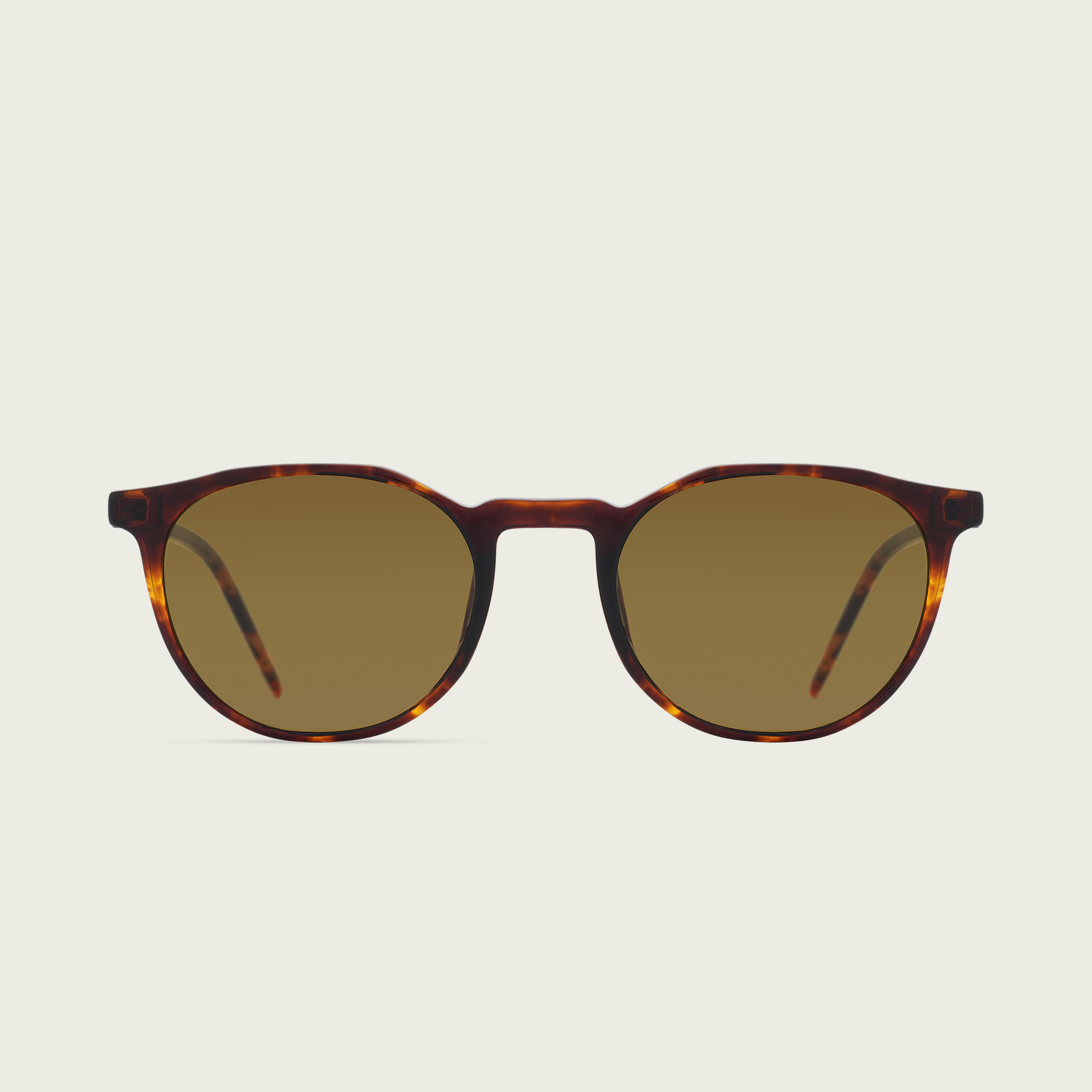 MOD 2023 — Tortoise