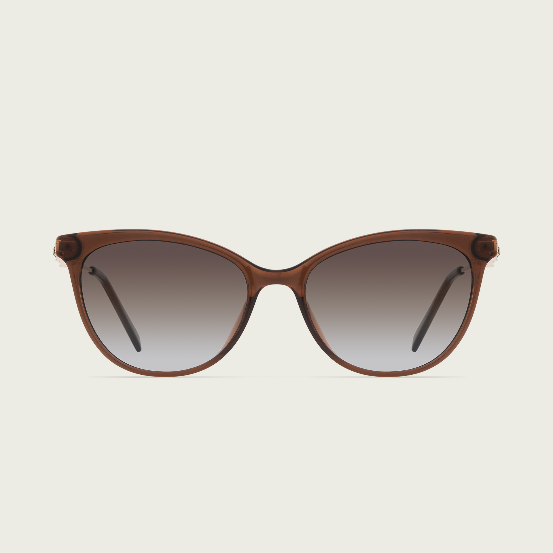 MOD 2014 — Brown