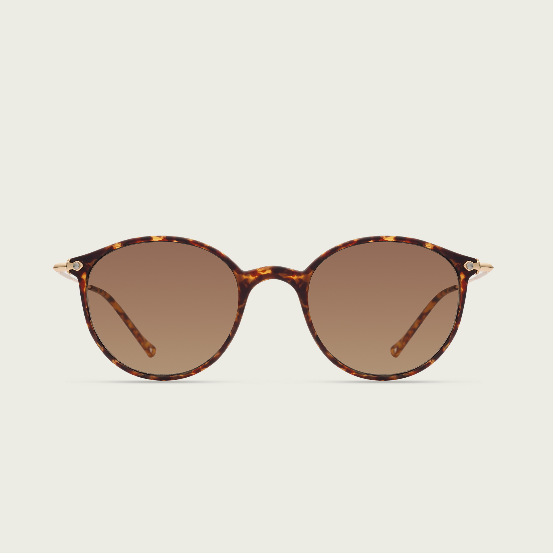 MOD 2002 — Tortoise