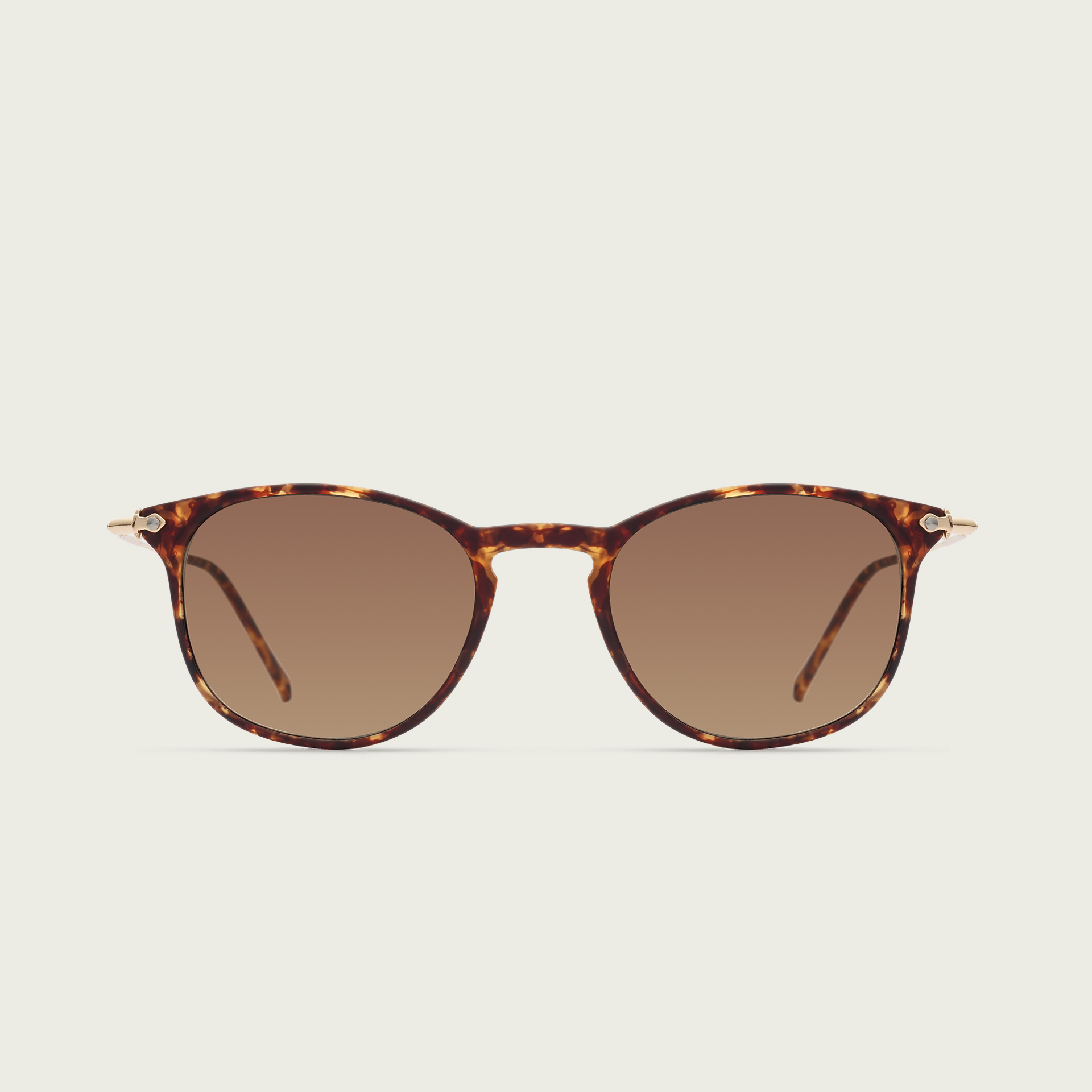 MOD 2000 — Tortoise