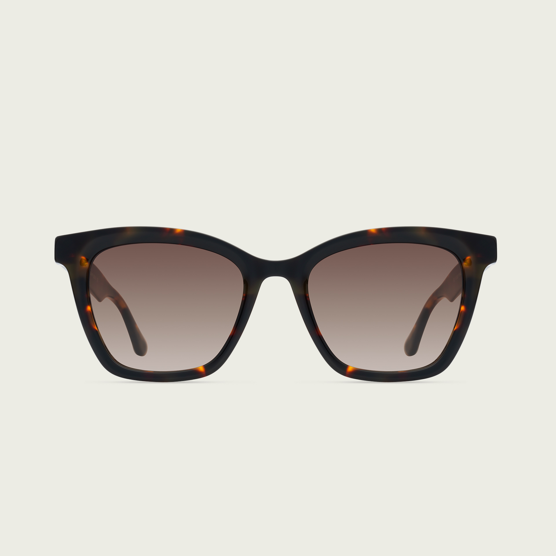 MOD 2033 — Tortoise
